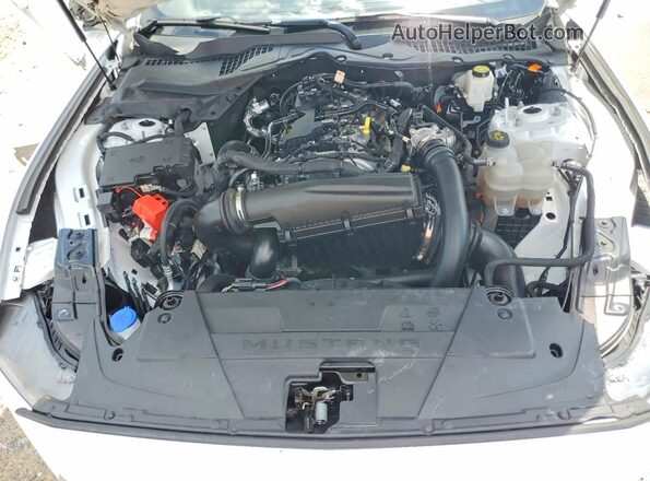 1FA6P8TH4R5118970 2024 FORD MUSTANG Белый Вид задней части салона