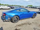 2024 Ford Mustang Blue vin: 1FA6P8TH4R5140354