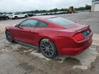 2017 Ford Mustang Red vin: 1FA6P8TH5H5265717