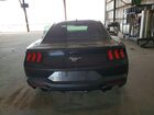 2024 Ford Mustang Charcoal vin: 1FA6P8TH5R5127080 2024 Ford Mustang Charcoal vin: 1FA6P8TH5R5127080