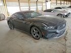2024 Ford Mustang Charcoal vin: 1FA6P8TH5R5127080 2024 Ford Mustang Charcoal vin: 1FA6P8TH5R5127080