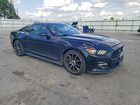 2017 Ford Mustang Black vin: 1FA6P8TH6H5209026