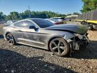 2022 Ford Mustang Gray vin: 1FA6P8TH7N5118262