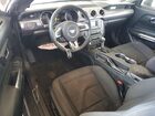 2017 Ford Mustang Black vin: 1FA6P8TH8H5339017