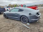 2019 Ford Mustang Charcoal vin: 1FA6P8TH8K5131954
