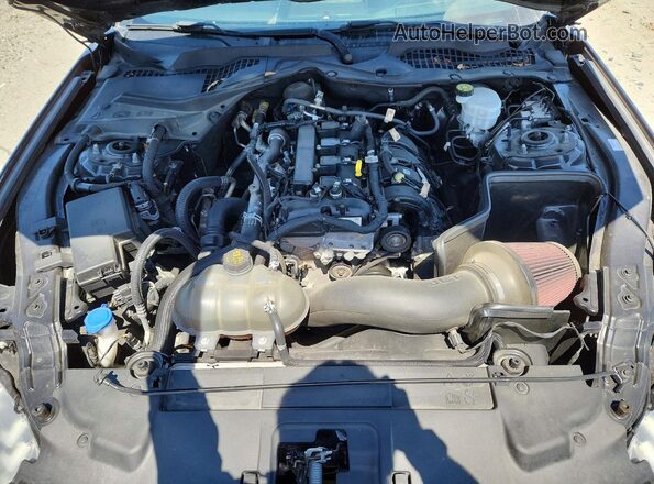 1FA6P8TH8M5156033 2021 FORD MUSTANG Синий Вид задней части салона