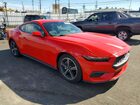 2025 Ford Mustang Красный vin: 1FA6P8TH8S5130609