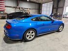 2019 Ford Mustang Blue vin: 1FA6P8TH9K5130604