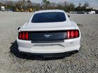 2020 Ford Mustang Белый vin: 1FA6P8TH9L5120317
