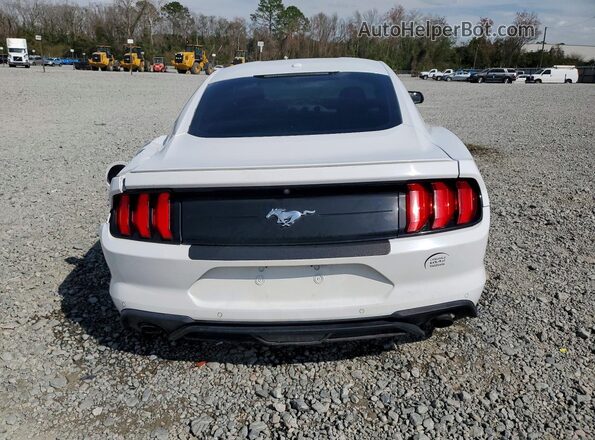 1FA6P8TH9L5120317 2020 FORD MUSTANG Белый Вид сзади
