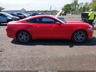 2016 Ford Mustang Ecoboost Красный vin: 1FA6P8THXG5308656