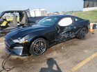 2021 Ford Mustang Black vin: 1FA6P8THXM5127178