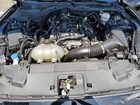 2022 Ford Mustang Black vin: 1FA6P8THXN5129403