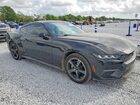 2025 Ford Mustang Black vin: 1FA6P8THXS5101340
