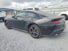 2025 Ford Mustang Black vin: 1FA6P8THXS5101340
