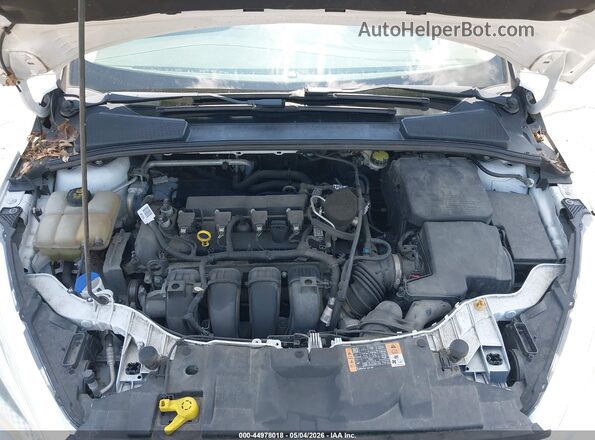 1FADP3E20GL285290 2016 FORD FOCUS Белый Вид сзади