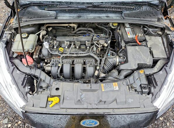1FADP3F20GL402865 2016 FORD FOCUS Черный Вид задней части салона