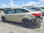 2016 Ford Focus Se Бежевый vin: 1FADP3F22GL318336