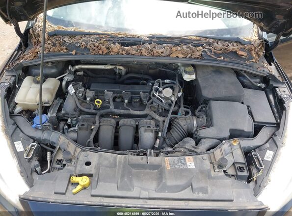 1FADP3F25HL253497 2017 FORD FOCUS Черный Вид сзади
