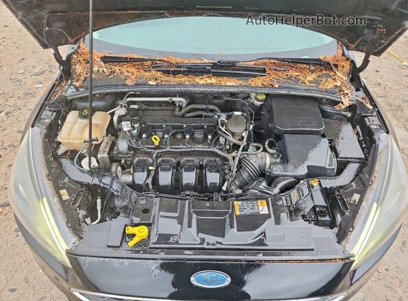 1FADP3F26GL237002 2016 FORD FOCUS Черный Вид задней части салона