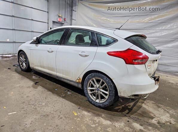 1FADP3K25GL213554 2016 FORD FOCUS White Tył lewy