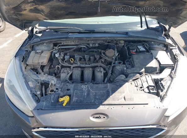 1FADP3K28GL230459 2016 FORD FOCUS Gray Widok z tyłu