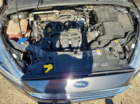 1FADP3N29GL344224 2016 FORD FOCUS Серый Вид задней части салона