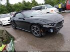 2024 Ford Mustang Ecoboost Premium Black vin: 1FAGP8UHXR5130690