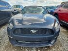 2016 Ford Mustang Black vin: 1FATP8EM2G5281949 2016 Ford Mustang Black vin: 1FATP8EM2G5281949