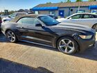 2016 Ford Mustang Black vin: 1FATP8EM2G5281949 2016 Ford Mustang Black vin: 1FATP8EM2G5281949