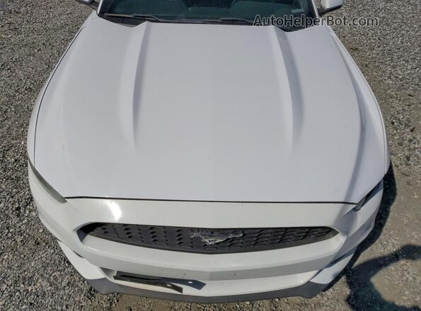 1FATP8EM4G5291494 2016 FORD MUSTANG White Սալոնի հետևի տեսք