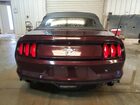 2017 Ford Mustang Black vin: 1FATP8EMXH5247808