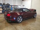 2017 Ford Mustang Black vin: 1FATP8EMXH5247808