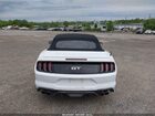 2019 Ford Mustang Gt Premium Белый vin: 1FATP8FF1K5171967