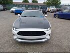 2019 Ford Mustang Gt Premium Белый vin: 1FATP8FF1K5171967