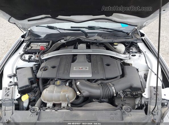 1FATP8FF1K5171967 2019 FORD MUSTANG Белый Вид сзади