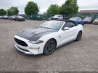 2019 Ford Mustang Gt Premium Белый vin: 1FATP8FF1K5171967