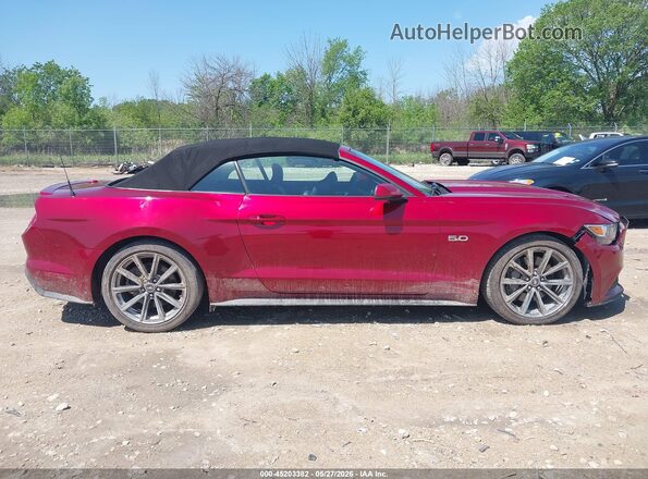 1FATP8FF2G5238664 2016 FORD MUSTANG Темно-бордовый Вид задней части салона