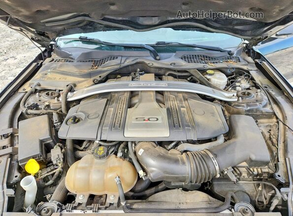 1FATP8FFXK5171580 2019 FORD MUSTANG Black Vista interior trasera