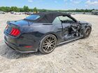 2019 Ford Mustang Gt Black vin: 1FATP8FFXK5171580