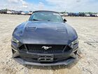 2019 Ford Mustang Gt Black vin: 1FATP8FFXK5171580