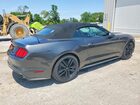 2017 Ford Mustang Gray vin: 1FATP8UH0H5202946