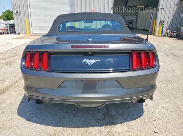1FATP8UH0H5202946 2017 FORD MUSTANG Gray Widok z tyłu