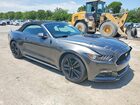 2017 Ford Mustang Gray vin: 1FATP8UH0H5202946
