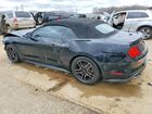 2018 Ford Mustang Black vin: 1FATP8UH0J5111231