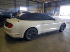 2019 Ford Mustang White vin: 1FATP8UH0K5131495 2019 Ford Mustang White vin: 1FATP8UH0K5131495