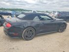2022 Ford Mustang Black vin: 1FATP8UH0N5105225