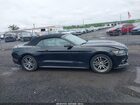 2016 Ford Mustang Ecoboost Premium Черный vin: 1FATP8UH1G5316159