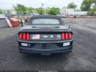 2016 Ford Mustang Ecoboost Premium Черный vin: 1FATP8UH1G5316159