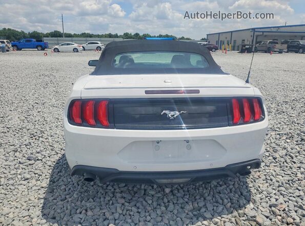 1FATP8UH4P5105697 2023 FORD MUSTANG Белый Вид сзади